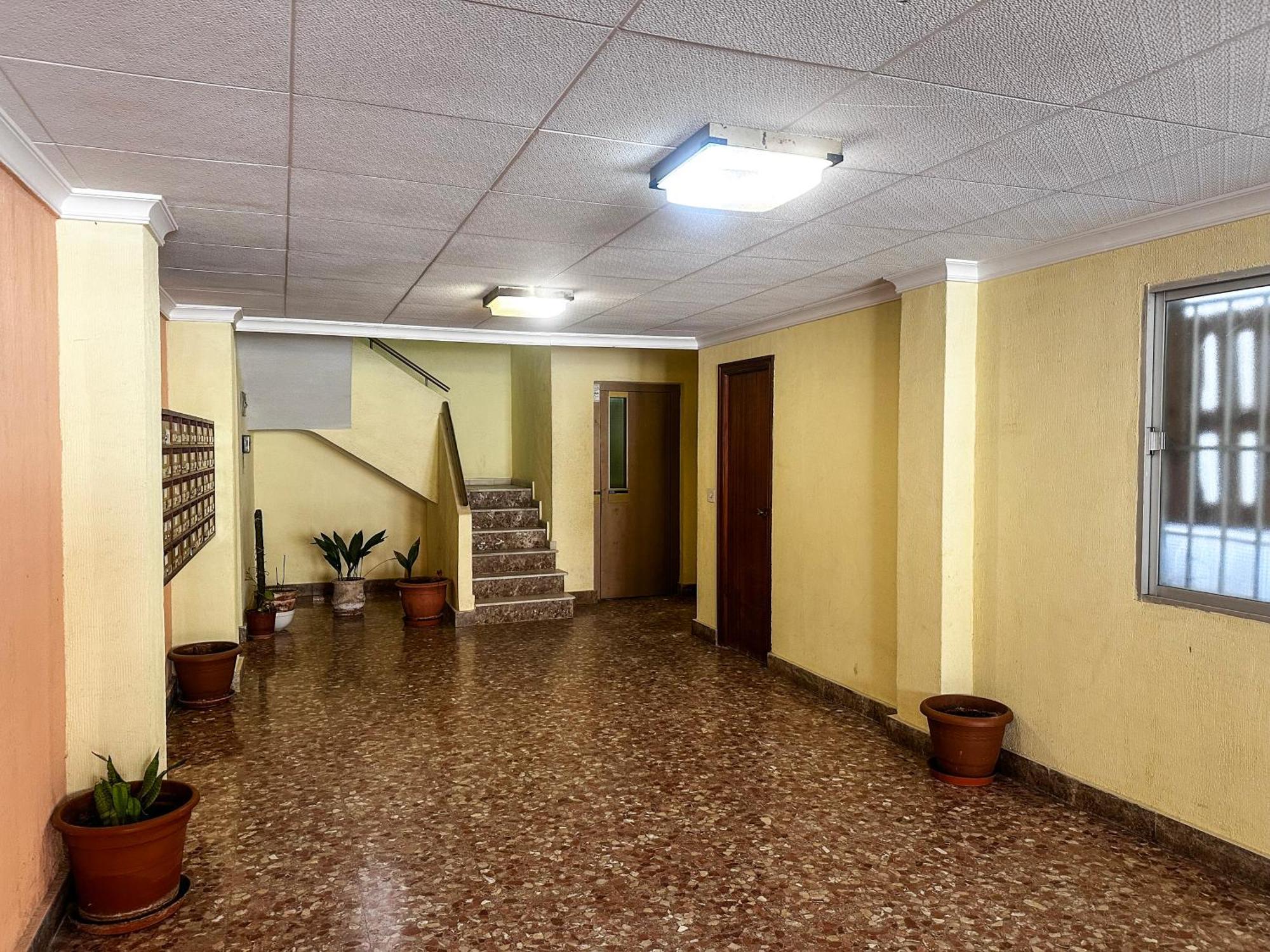 Palmas Apartments La Mata  Exterior photo